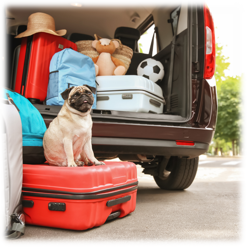 TÁXI BAG EM CAMPINAS: CONFORTO E ESPAÇO PARA TODA A FAMÍLIA!